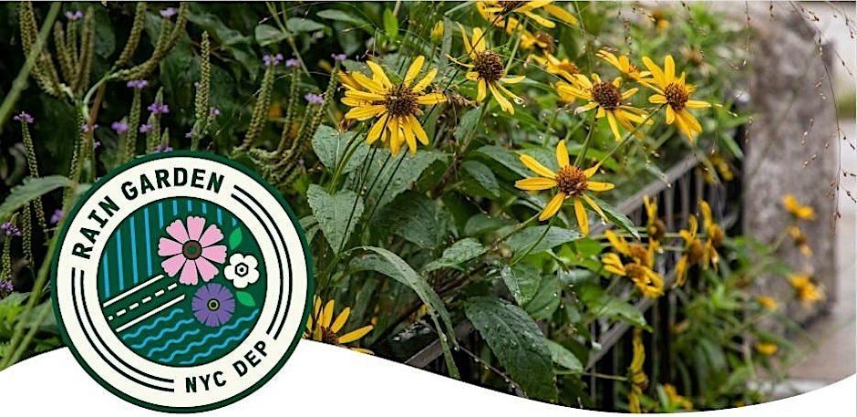 Rain Garden Stewardship Volunteer Days